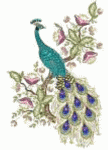 Peacocks avatar